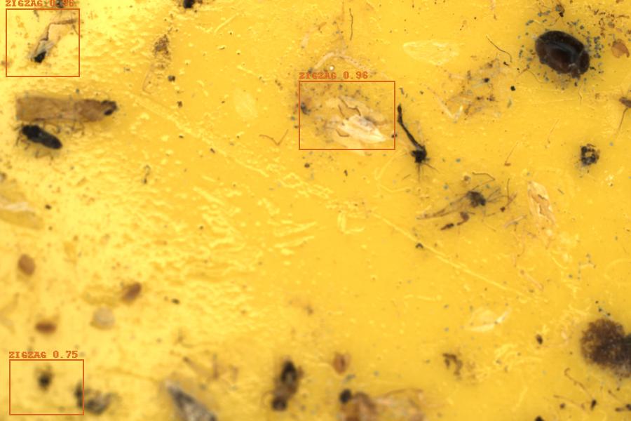 Image 8